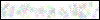 Auth Image