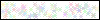 Auth Image